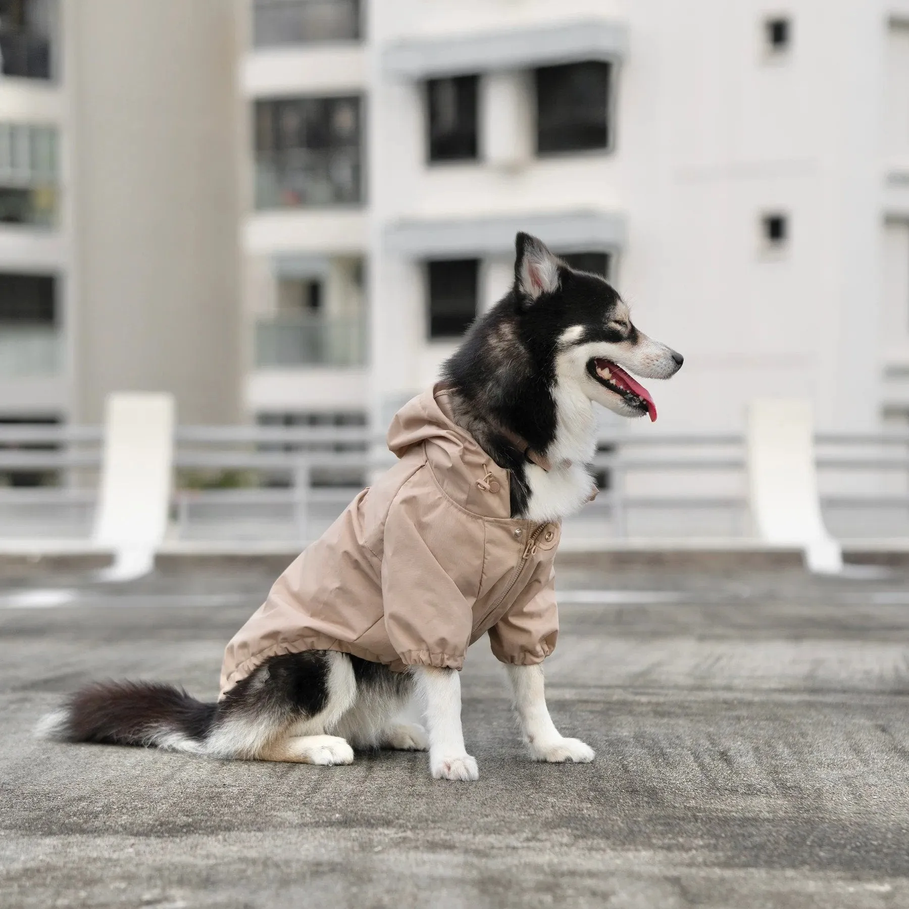 Brooklyn Dog Raincoat