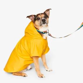 Clearance pet raincoat