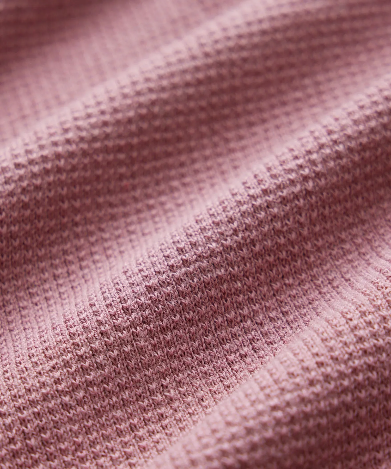 Cotton Silk Pique Crew in Mauve