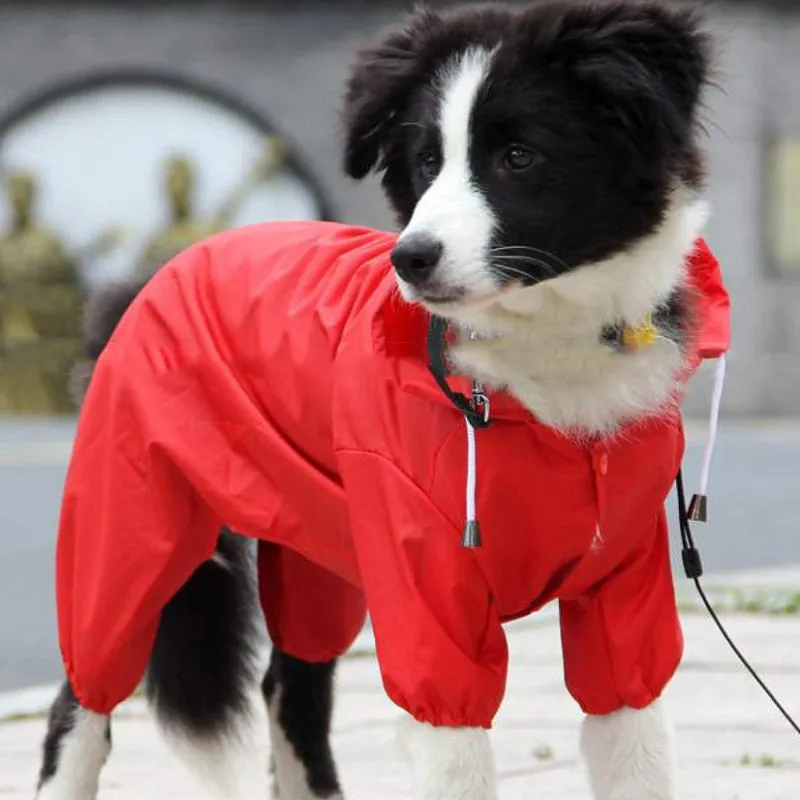 Dog Raincoat jacket