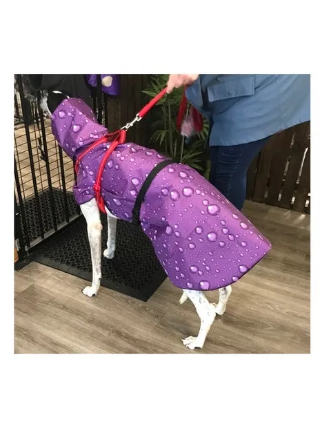 Lightweight rainwear Greyhound coat deluxe style, easy care, fashion statement