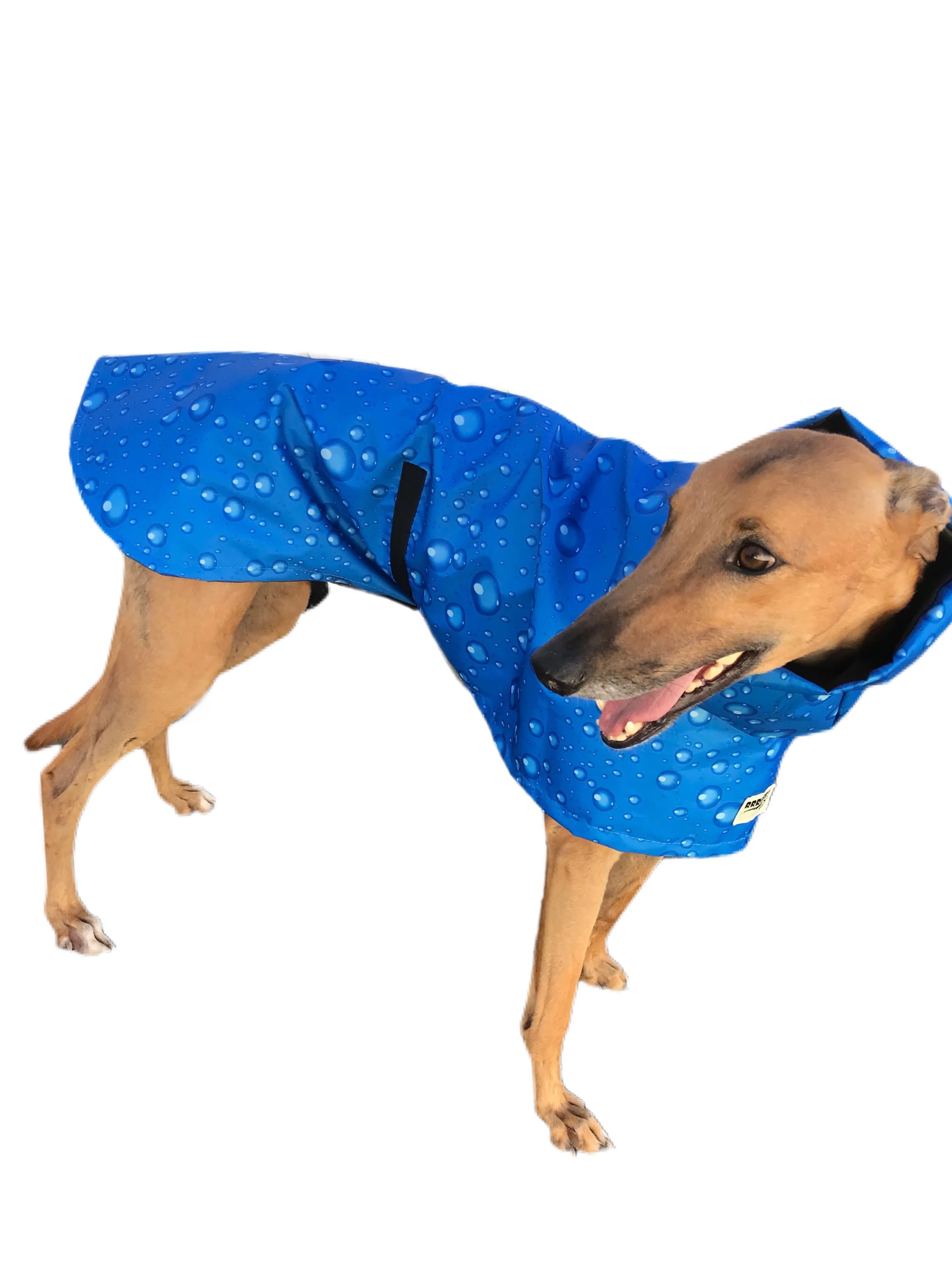 Lightweight rainwear Greyhound coat deluxe style, easy care, fashion statement