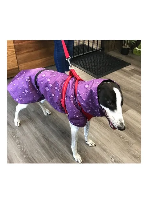 Lightweight rainwear Greyhound coat deluxe style, easy care, fashion statement