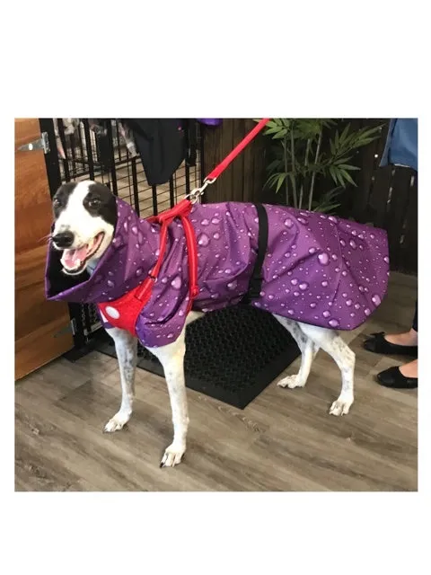 Lightweight rainwear Greyhound coat deluxe style, easy care, fashion statement