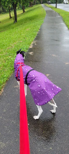 Lightweight rainwear Greyhound coat deluxe style, easy care, fashion statement