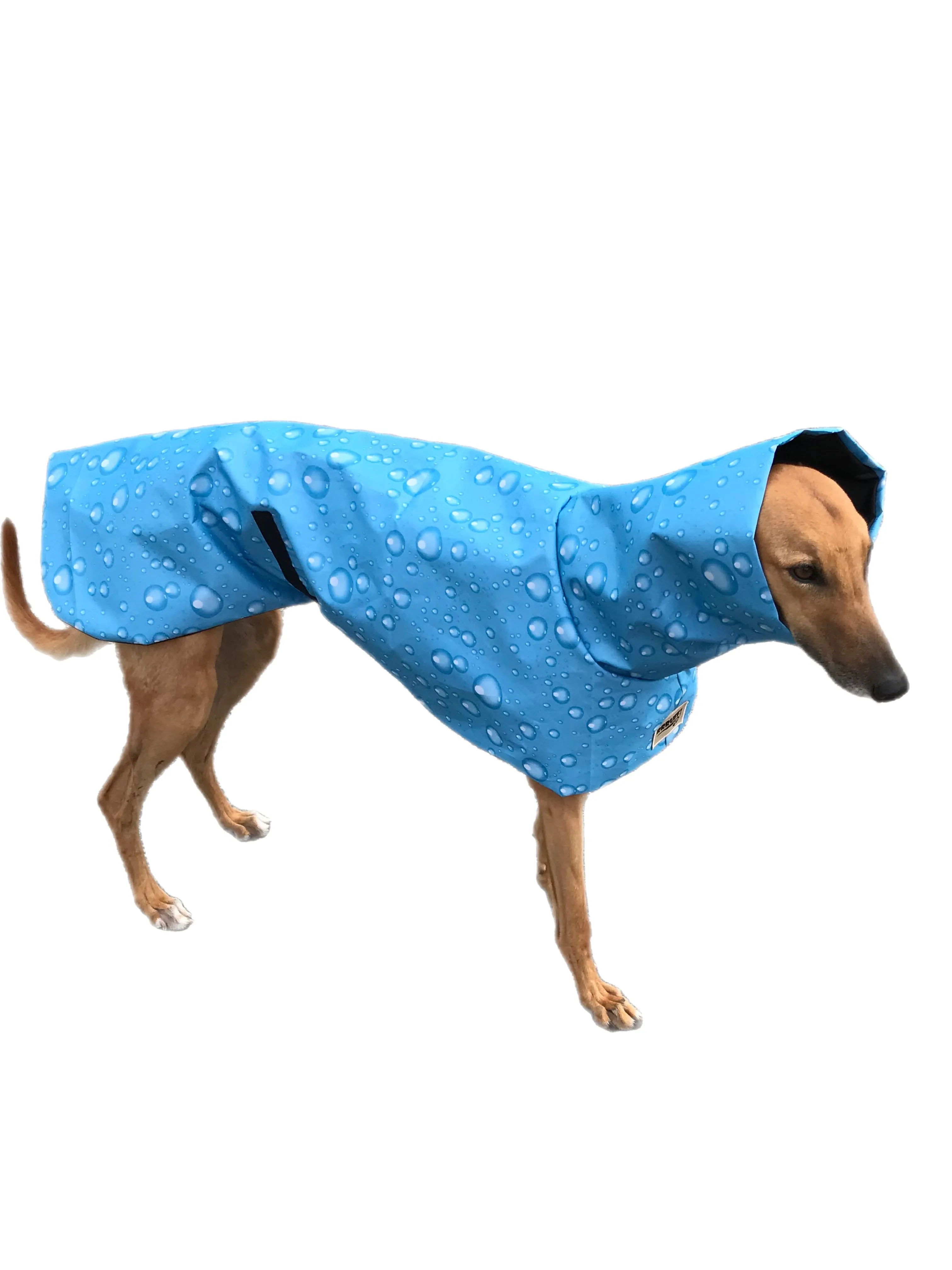 Lightweight rainwear Greyhound coat deluxe style, easy care, fashion statement