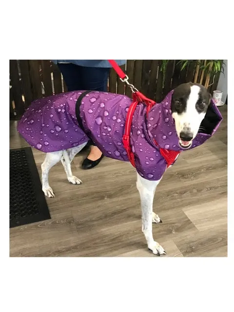 Lightweight rainwear Greyhound coat deluxe style, easy care, fashion statement