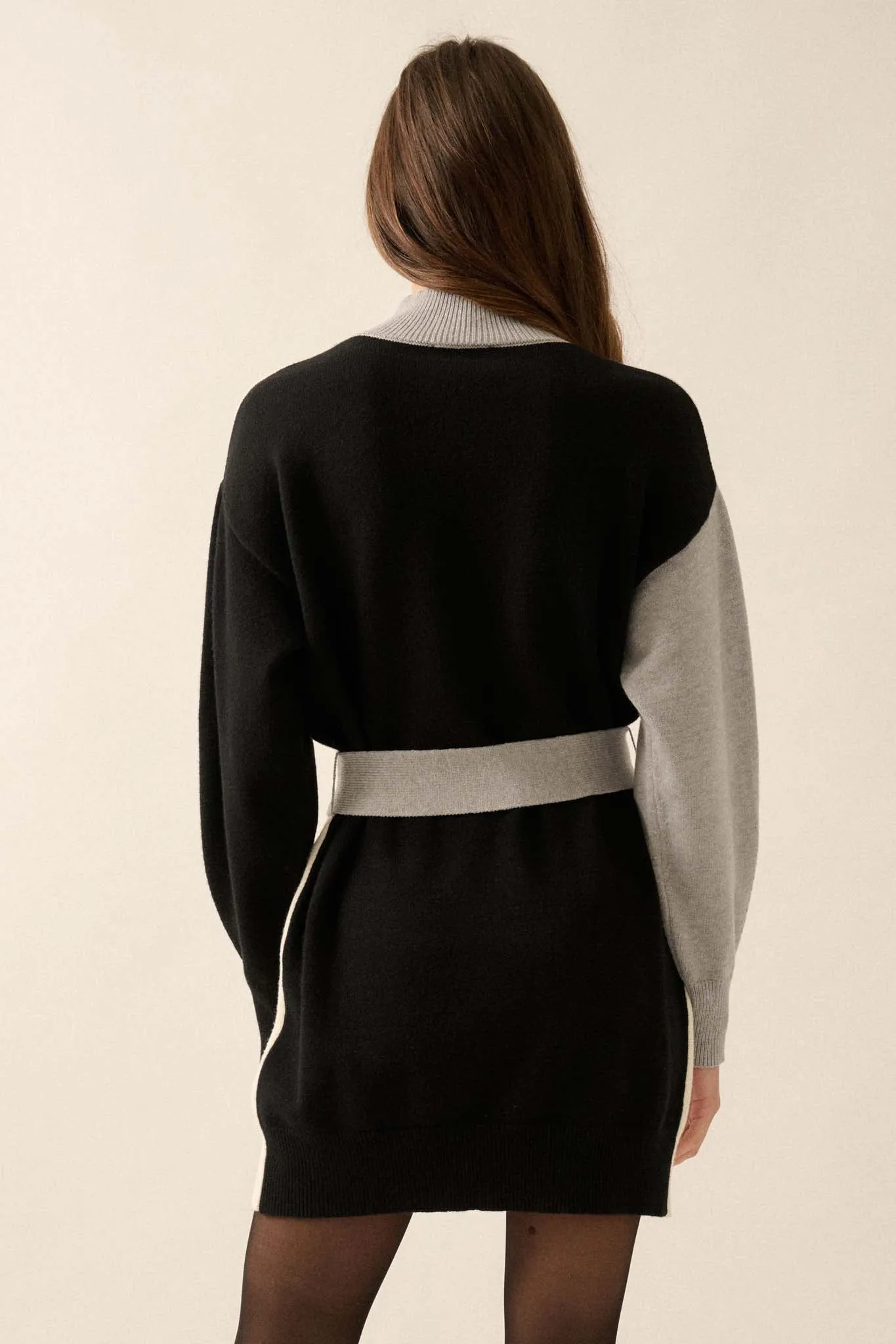 Modern Moment Colorblock Belted Mini Sweater Dress