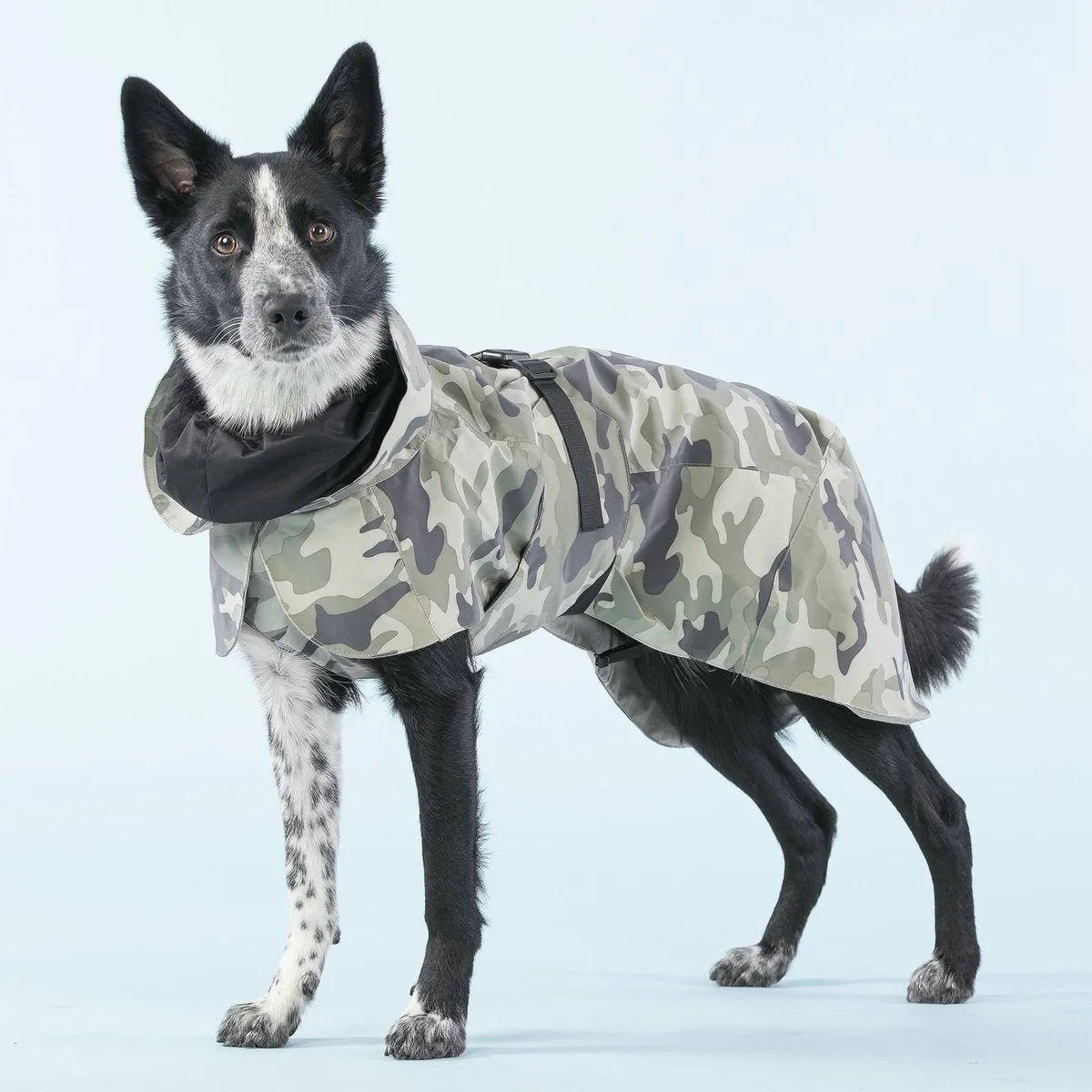 Recovery Dog Raincoat Camo