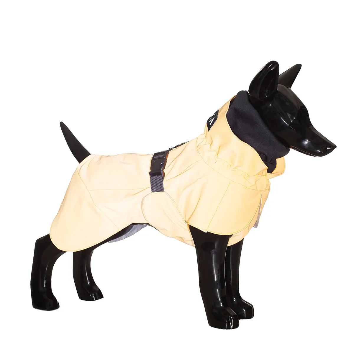 Recovery Dog Raincoat Orange