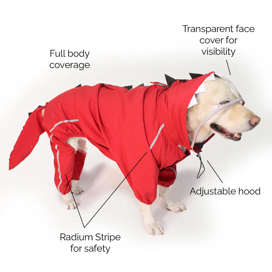 Red Dino Raincoat