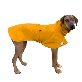 Rhodesian Ridgeback Raincoat