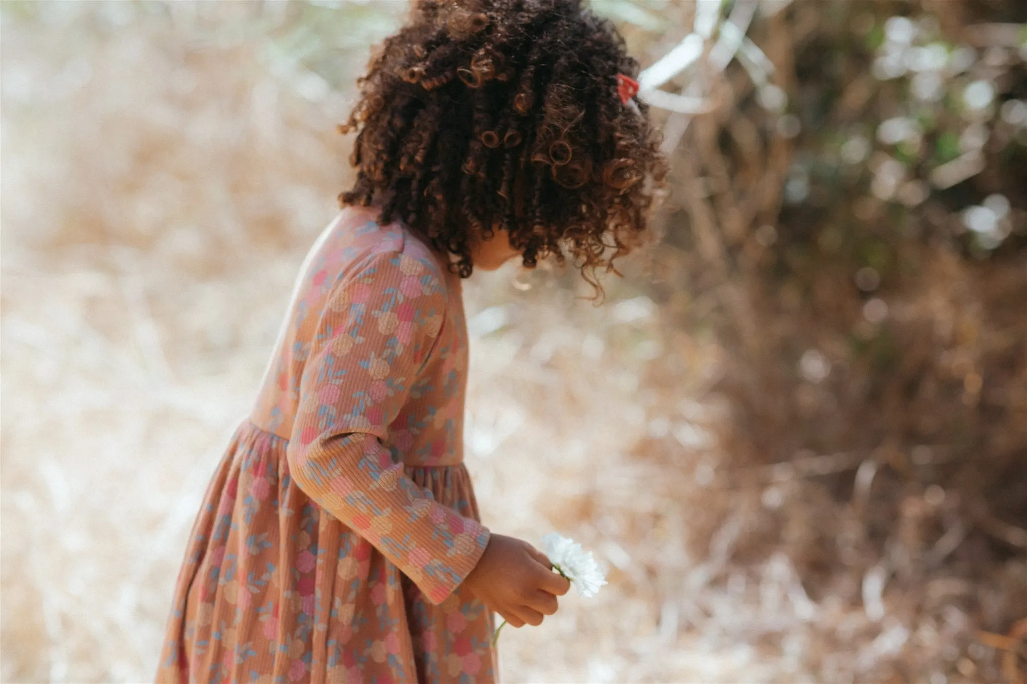 Rib L/S  Dress - Caramel Roses