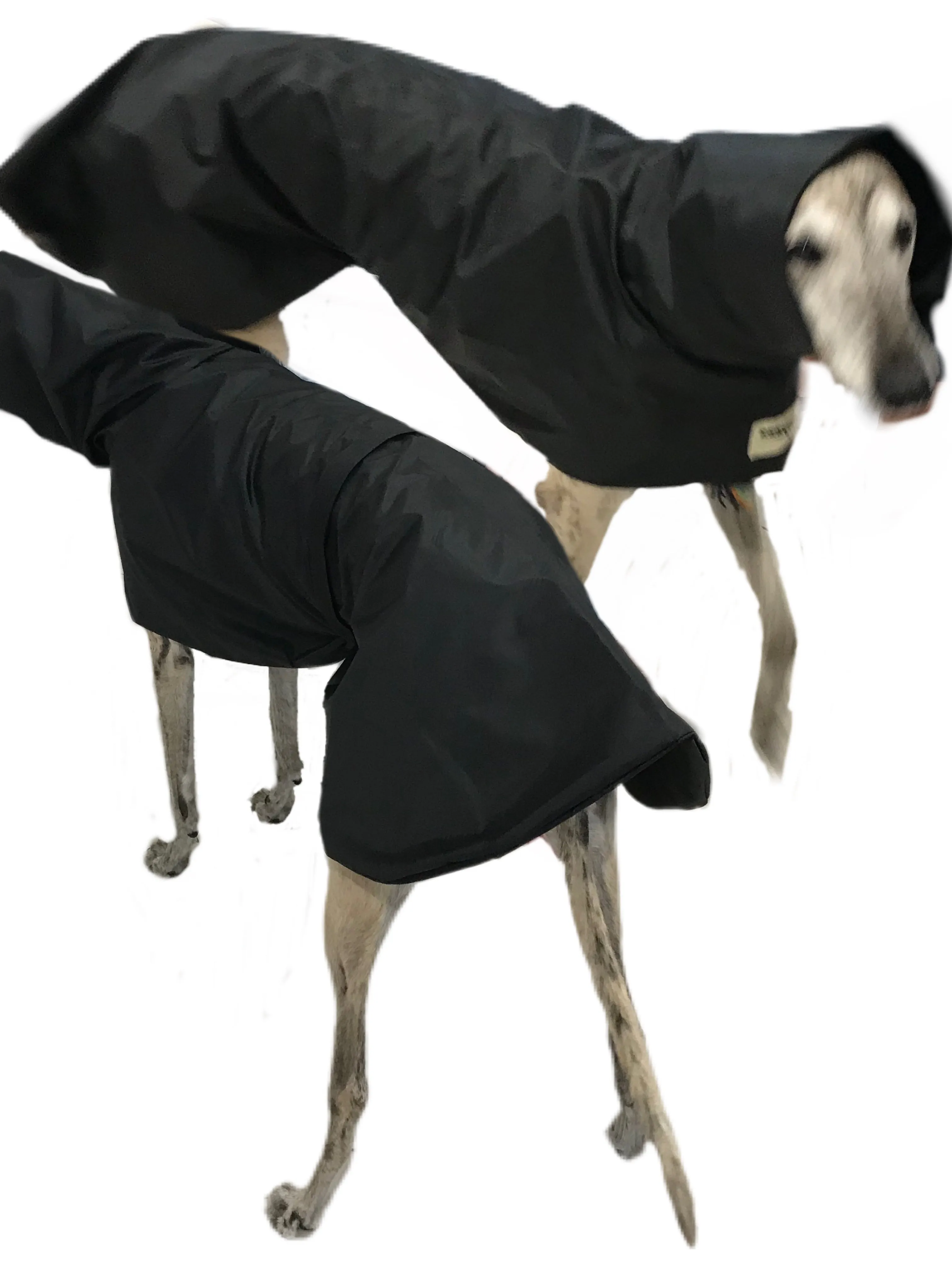 Summer rainwear Greyhound coat deluxe style, ultra lightweight,  washable