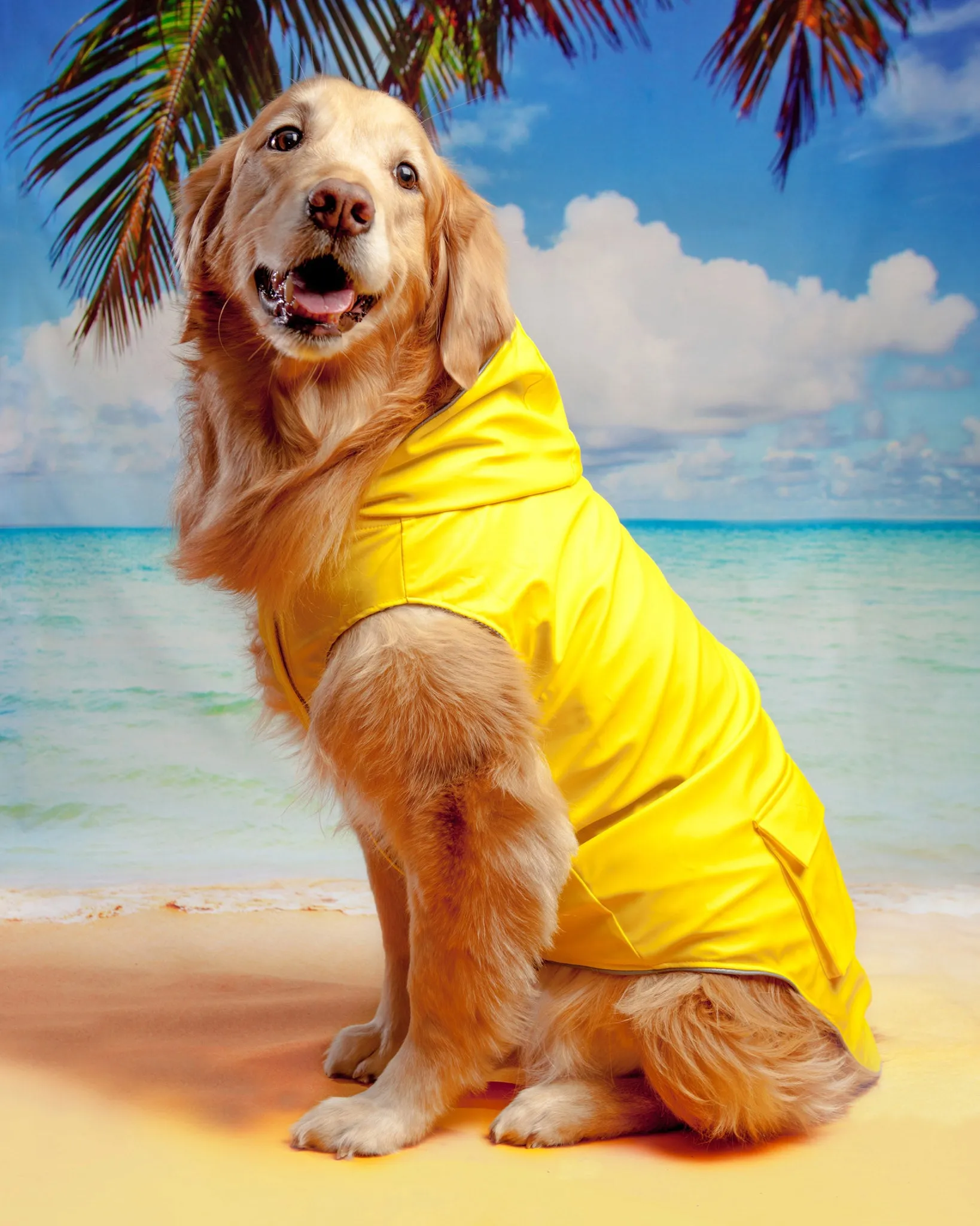 Torrential Tracker Dog Raincoat in Yellow (FINAL SALE)