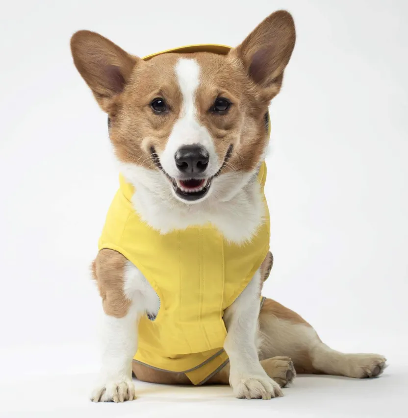 Torrential Tracker Dog Raincoat in Yellow (FINAL SALE)