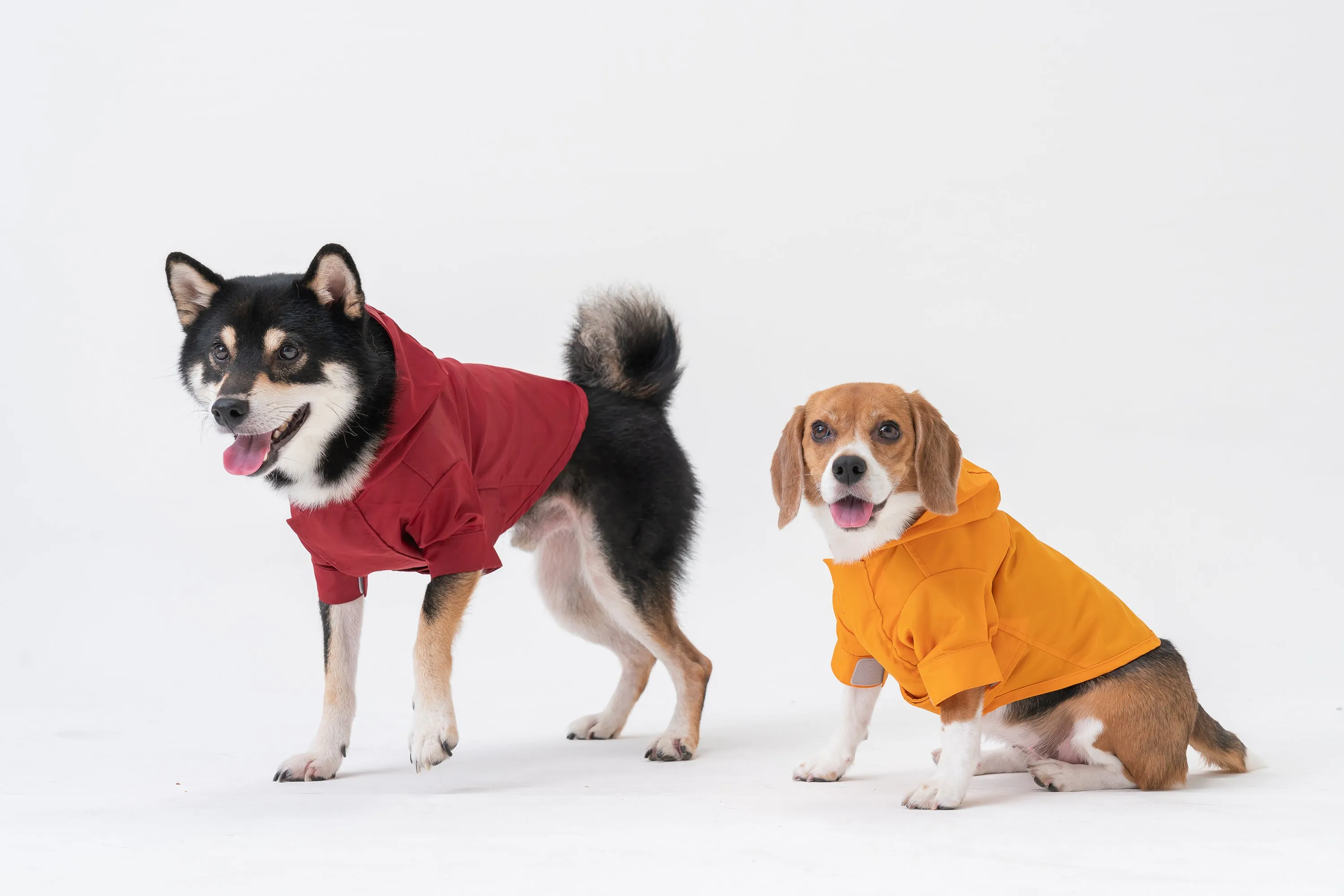 Tribeca adjustable velcro raincoat -  Burgundy