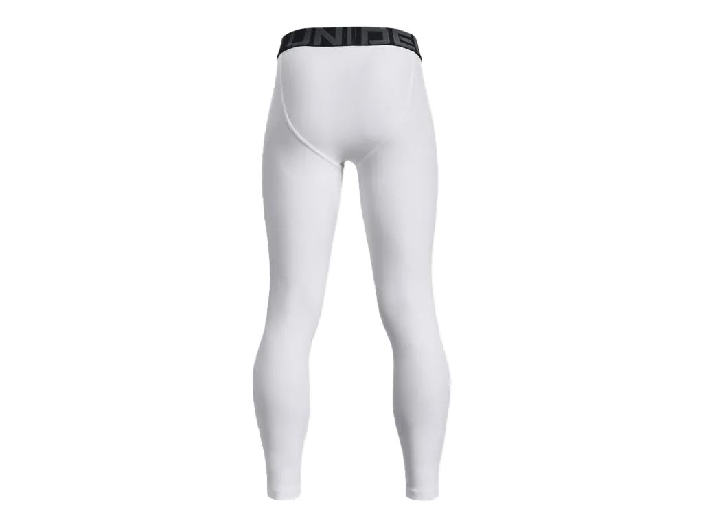 UA Boys' HeatGear® Armour Leggings