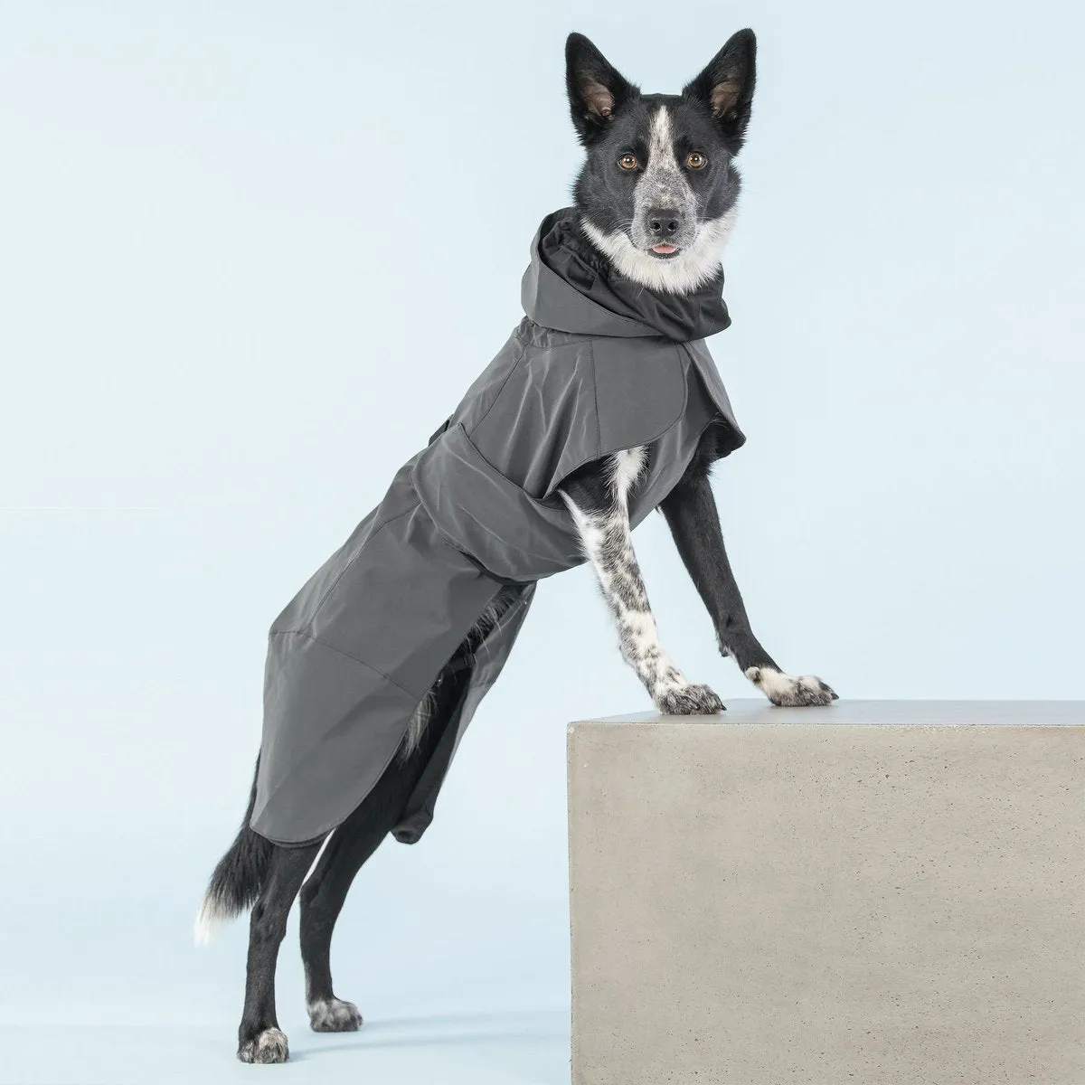 Visibility Dog Raincoat Black