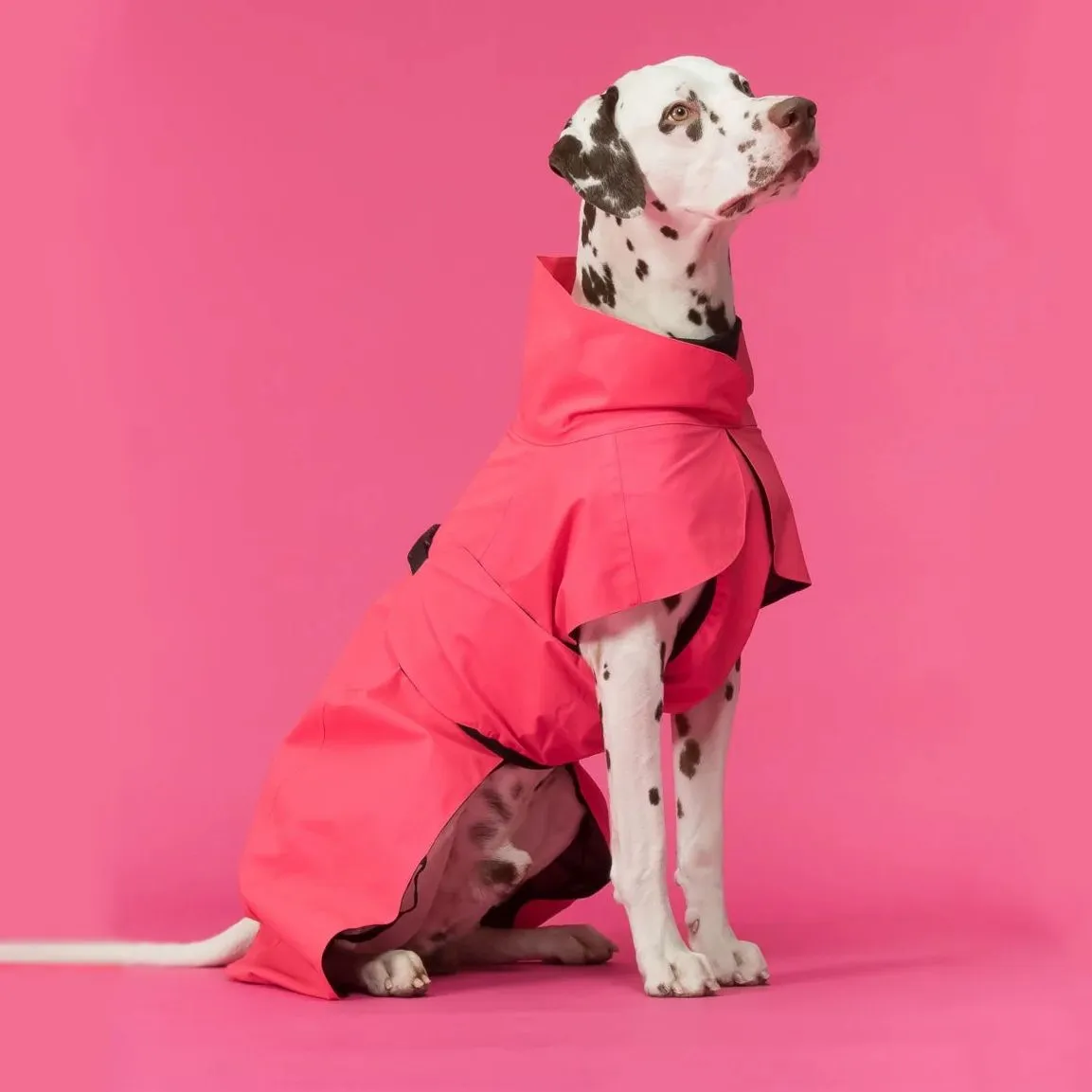 Visibility Dog Raincoat Lite Hot Pink