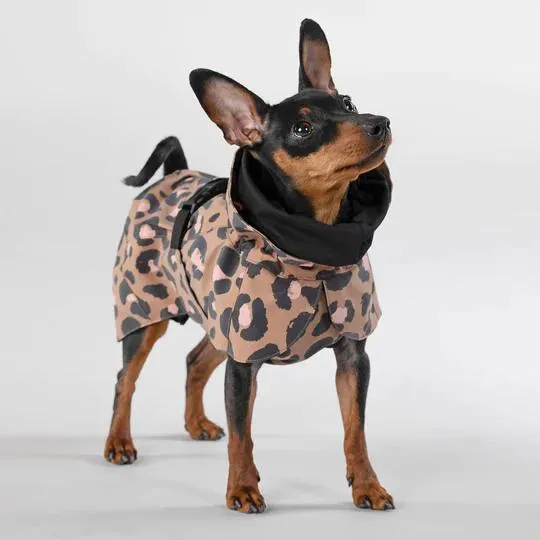 Visibility Dog Raincoat Lite Leopard