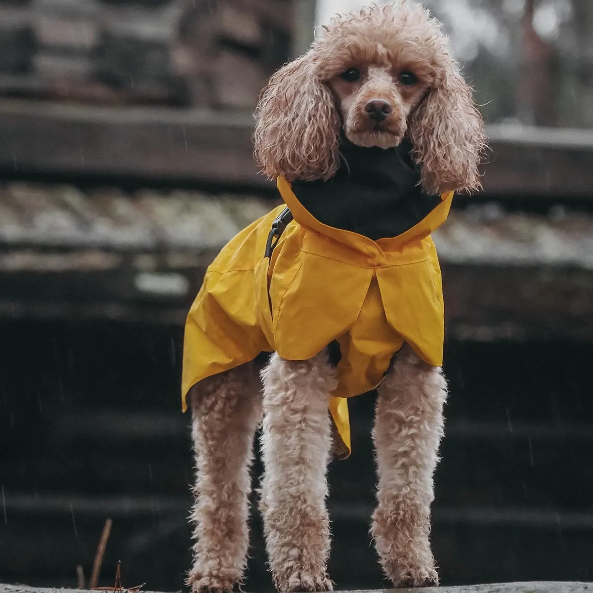 Visibility Dog Raincoat Lite Yellow