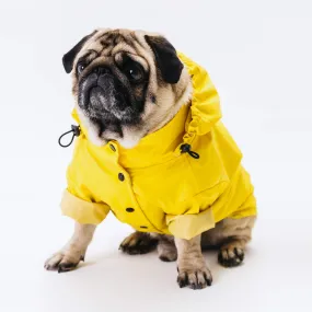 Waterproof dog suit