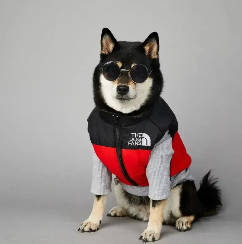 Windproof Rainproof Dog Coat