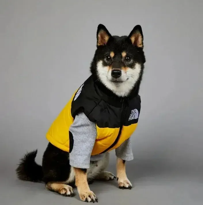 Windproof Rainproof Dog Coat